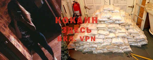 прущие крисы Алзамай